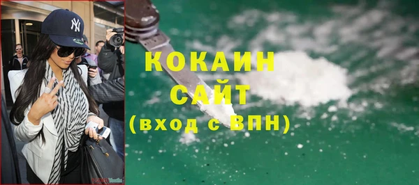 прущие грибы Балабаново