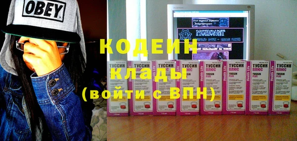 прущие грибы Балабаново