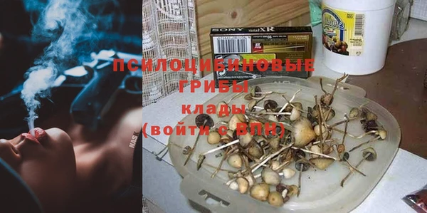 прущие грибы Балабаново
