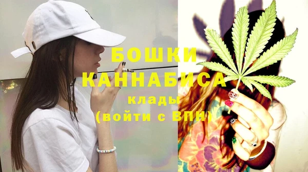прущие грибы Балабаново