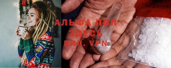 прущие грибы Балабаново