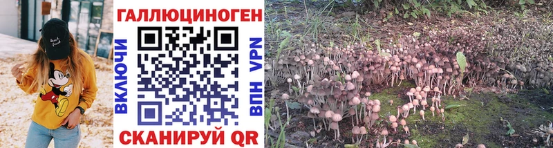 Галлюциногенные грибы MAGIC MUSHROOMS Верхний Тагил